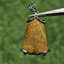 จี้ไหมทอง (Golden Rutilated Quartz) 8.11 กรัม g. พลอยแท้ อัญมณีมงคลประจําวันเกิด เครื่องประดับพลอย
