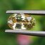 พลอย บุษราคัม yellow sapphire 1.24 กะรัต (Cts.) ดิบ (Unheated) พลอยแท้ อัญมณีมงคลประจําวันเกิด เครื่องประดับพลอย