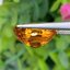 พลอย เพทาย Natural Zircon 10.11 กะรัต (Cts.) พลอยแท้อัญมณีมงคล ประจําวันเกิด เครื่องประดับพลอย