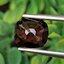 พลอย สปิเนล (Spinel) 1.78 กะรัต (Cts.) ดิบ (Unheated) พลอยแท้ อัญมณีมงคลประจําวันเกิด เครื่องประดับพลอย