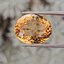 พลอย ซิทริน Citrine 25.92 กะรัต (Cts.) พลอยแท้ อัญมณีมงคลประจําวันเกิด เครื่องประดับพลอย