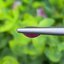 พลอย ทับทิม สยาม (Siam Ruby Sapphire) 1.01 กะรัต (Cts.) พลอยแท้ อัญมณีมงคลประจําวันเกิดเครื่องประดับพลอย