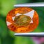 พลอย บุษราคัม yellow sapphire 2.86 กะรัต พลอยแท้ อัญมณีมงคลประจําวันเกิด เครื่องประดับพลอย