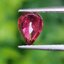 พลอย ทับทิม Ruby sapphire 0.95 กะรัต พลอยแท้ อัญมณีมงคลประจําวันเกิด เครื่องประดับพลอย
