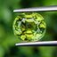 พลอย กรีน ทัวร์มารีน (Green Tourmaline) 2.68 กะรัต (Cts.) อัญมณีมงคลประจําวันเกิด เครื่องประดับพลอย
