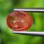 พลอย บุษราคัม Yellow Sapphire 1.63 กะรัต (Cts.) พลอยแท้ อัญมณีมงคลประจําวันเกิด เครื่องประดับพลอย