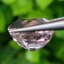 พลอย ทัวร์มารีน (Pink Tourmaline) 8.00 กะรัต (Cts.) อัญมณีมงคลประจําวันเกิด เครื่องประดับพลอย