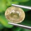 พลอย บุษราคัม yellow sapphire 2.65 กะรัต (Cts.) ดิบ พลอยแท้ อัญมณีมงคลประจําวันเกิด เครื่องประดับพลอย