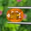 พลอย บุษราคัม Yellow Sapphire 5.08 กะรัต (Cts.) พลอยแท้ อัญมณีมงคลประจําวันเกิด เครื่องประดับพลอย