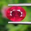 พลอย ทับทิม Ruby sapphire 2.69 กะรัต (Cts.) พลอยแท้ อัญมณีมงคลประจําวันเกิด เครื่องประดับพลอย