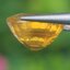 พลอย บุษราคัม yellow sapphire 2.66 กะรัต พลอยแท้ อัญมณีมงคลประจําวันเกิด เครื่องประดับพลอย