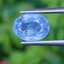 พลอย ไพลิน blue sapphire 3.30 กะรัต (Cts.) ดิบ unheated พลอยแท้ อัญมณีมงคลประจําวันเกิด เครื่องประดับพลอย