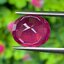 พลอย ทับทิม (Ruby Sapphire) 9.19 กะรัต (Cts.) พลอยแท้ อัญมณีมงคลประจําวันเกิด เครื่องประดับพลอย