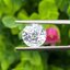 พลอย เพทาย Natural Zircon 4.17 กะรัต (Cts.) พร้อมใบเซอร์ พลอยแท้ อัญมณีมงคลประจําวันเกิด เครื่องประดับพลอย