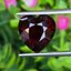 พลอย โกเมน Pyrope - Almandite Garnet 8.73 กะรัต (Cts.) พลอยแท้ อัญมณีมงคลประจําวันเกิด เครื่องประดับพลอย