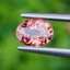 พลอย พัดพารัดชา Padparadscha Sapphire 1.00 กะรัต (Cts.) พร้อมใบเซอร์ พลอยแท้ อัญมณีมงคลประจําวันเกิด เครื่องประดับพลอย