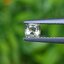 พลอย อเล็กซานไดร์ (Natural Alexandrite Chrysoberyl) 0.45 กะรัต (Cts.) ดิบ (Unheated) พร้อมใบเซอร์ พลอยแท้ อัญมณีมงคลประจําวันเกิด เครื่องประดับพลอย