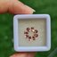 พลอย ชมพู พิ้งค์ ทัวร์มารีน (Pink Tourmaline) 1.25 กะรัต (Cts.) 8 เม็ด อัญมณีมงคลประจําวันเกิด เครื่องประดับพลอย