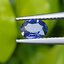 พลอย ไพลิน Blue Sapphire 0.67 กะรัต (Cts.) พลอยแท้ อัญมณีมงคลประจําวันเกิด เครื่องประดับพลอย