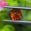 พลอย สเปสซาร์ไทต์ Spessartite Garnet 1.55 กะรัต (Cts.) พลอยแท้ อัญมณีมงคลประจําวันเกิด เครื่องประดับพลอย