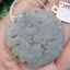 หยก พม่า แท้ Jade จี้หยก (jadeite) แกะสลักรูปมังกร ดิบ ไม่ผ่านการปรับปรุง (Type A) พม่า (Myanmar)