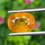 พลอย บุษราคัม Yellow Sapphire 5.04 กะรัต (Cts.) พลอยแท้ อัญมณีมงคลประจําวันเกิด เครื่องประดับพลอย