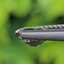 พลอย เพทาย Natural Zircon 1.04 กะรัต (Cts.) ดิบ พลอยแท้อัญมณีมงคล ประจําวันเกิด เครื่องประดับพลอย