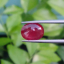 พลอย ทับทิม Ruby sapphire 3.49 กะรัต (Cts.) VS พลอยแท้ อัญมณีมงคลประจําวันเกิด เครื่องประดับพลอย