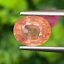 พลอย พัดพารัดชา Padparadscha Sapphire 2.45 กะรัต (Cts.) พร้อมใบเซอร์ พลอยแท้ อัญมณีมงคลประจําวันเกิด เครื่องประดับพลอย