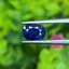 พลอย ไพลิน Blue Sapphire 1.02 กะรัต (Cts.) พลอยแท้ อัญมณีมงคลประจําวันเกิด เครื่องประดับพลอย