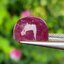 พลอย ทับทิม (Ruby Sapphire) 13.19 กะรัต (Cts.) พลอยแท้ อัญมณีมงคลประจําวันเกิด เครื่องประดับพลอย