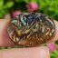 พลอย โบลเดอร์ โอปอล ออสเตรเลีย Australian Boulder Opal 26.9 กะรัต (Cts.) พลอยแท้ อัญมณีมงคลประจําวันเกิด เครื่องประดับพลอย