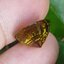 พลอย ทัวร์มาลีน Tourmaline 10.495 กะรัต (Cts.)