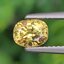 พลอย บุษราคัม yellow sapphire 1.17 กะรัต (Cts.) ดิบ (Unheated) พร้อมใบเซอร์ พลอยแท้ อัญมณีมงคลประจําวันเกิด เครื่องประดับพลอย