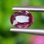 พลอย ทับทิม สยาม (Siam Ruby Sapphire) 0.75 กะรัต (Cts.) ดิบ Unheated พลอยแท้ อัญมณีมงคลประจําวันเกิด เครื่องประดับพลอย