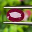 พลอย ทับทิม พม่า (Burmese Ruby Sapphire) 1.55 กะรัต พลอยแท้ อัญมณีมงคลประจําวันเกิด เครื่องประดับพลอย