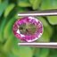 พลอย ชมพู พิ้ง แซฟไฟร์ Pink Sapphire 0.72 กะรัต (Cts.) พลอยแท้ อัญมณีมงคลประจําวันเกิด เครื่องประดับพลอย