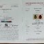 พลอย อเล็กซานไดร์ (Natural Alexandrite Chrysoberyl) 1.03 กะรัต (Cts.) ดิบ (Unheated) พร้อมใบเซอร์ พลอยแท้ อัญมณีมงคลประจําวันเกิด เครื่องประดับพลอย