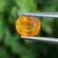 พลอย บุษราคัม Yellow Sapphire 1.44 กะรัต (Cts.) พลอยแท้ อัญมณีมงคลประจําวันเกิด เครื่องประดับพลอย