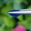 พลอย ไพลิน Blue Sapphire 1.44 กะรัต (Cts.) *สีพิเศษ คอนฟลาวเวอร์ บลู (Cornflower Blue)