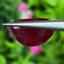 พลอย ทับทิม Ruby sapphire 13.55 กะรัต (Cts.) พลอยแท้ อัญมณีมงคลประจําวันเกิด เครื่องประดับพลอย
