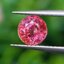 พลอย ชมพู ส้ม Pink Orange Sapphire 0.98 กะรัต (Cts.) พร้อมใบเซอร์ พลอยแท้ อัญมณีมงคลประจําวันเกิด เครื่องประดับพลอย