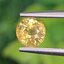 พลอย บุษราคัม Yellow Sapphire 0.76 กะรัต (Cts.) พลอยแท้ อัญมณีมงคลประจําวันเกิด เครื่องประดับพลอย