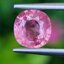 พลอยชมพูส้มแซฟไฟร์ Orangy Pink Sapphire 1.56 กะรัต (Cts.) พร้อมใบเซอร์ พลอยแท้ อัญมณีมงคลประจําวันเกิด เครื่องประดับพลอย