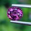 พลอย โรโดไลต์ กาเน็ท Rhodolite Garnet 1.07 กะรัต Cts.พลอยแท้ อัญมณีมงคลประจําวันเกิด เครื่องประดับพลอย