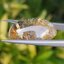 ไหมทอง ควอตซ์ Golden Rutilated Quartz 32.0 กะรัต Cts.พลอยแท้ อัญมณีมงคลประจําวันเกิด เครื่องประดับพลอย
