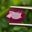 พลอย ทับทิม พม่า (Burmese Ruby Sapphire) 1.56 กะรัต พร้อมใบเซอร์ พลอยแท้ อัญมณีมงคลประจําวันเกิด เครื่องประดับพลอย