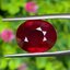 พลอย ทับทิม (Ruby Sapphire) 11.69 กะรัต (Cts.) พลอยแท้ อัญมณีมงคลประจําวันเกิด เครื่องประดับพลอย
