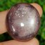 พลอย ทับทิม สตาร์ แซฟไฟร์ Ruby Star Sapphire 103.07 กะรัต (Cts.) ดิบ Unheated พร้อมใบเซอร์ พลอยแท้ อัญมณีมงคลประจําวันเกิด เครื่องประดับพลอย