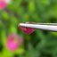 พลอย ชมพู พิ้ง แซฟไฟร์ Pink Sapphire 0.80 กะรัต (Cts.) พลอยแท้ อัญมณีมงคลประจําวันเกิด เครื่องประดับพลอย